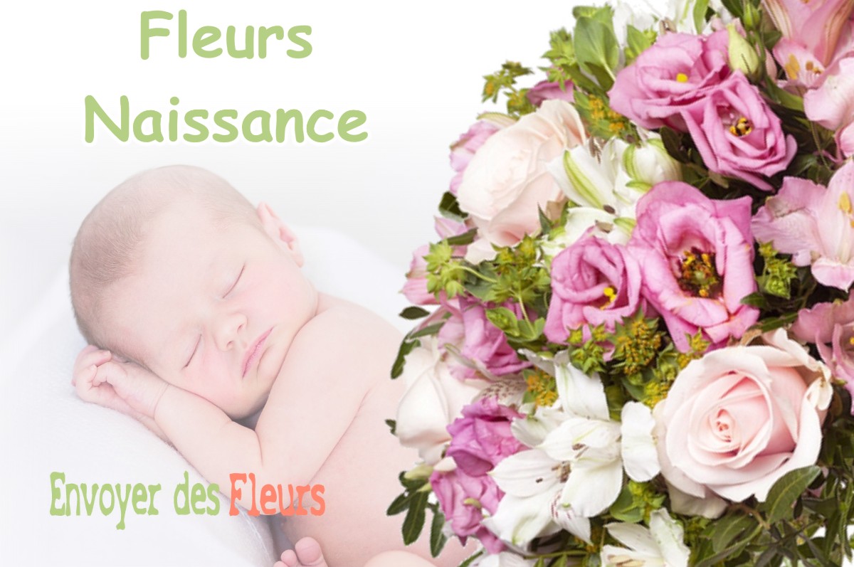 lIVRAISON FLEURS NAISSANCE à FERRIERES-EN-GATINAIS